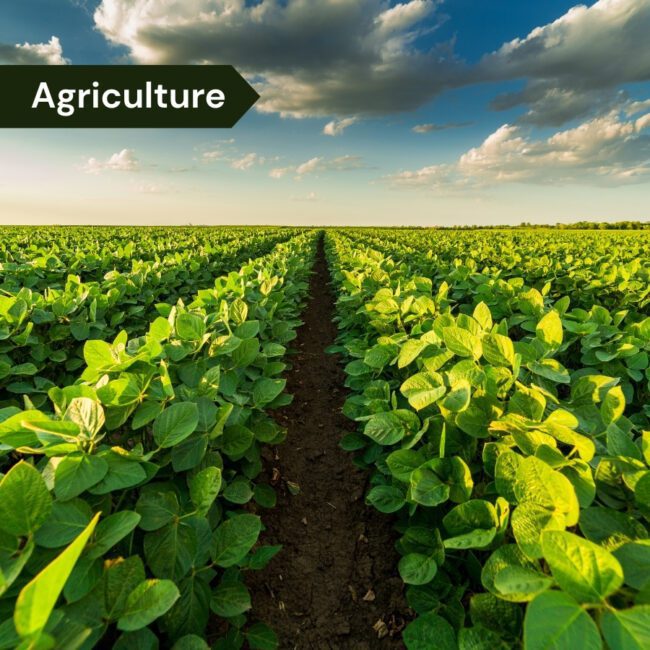 agriculture-unialte-alternator
